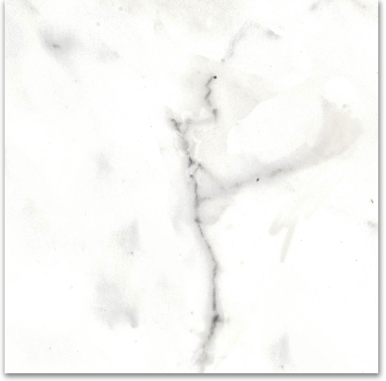 12X12F Calacatta | Marino Tile NY