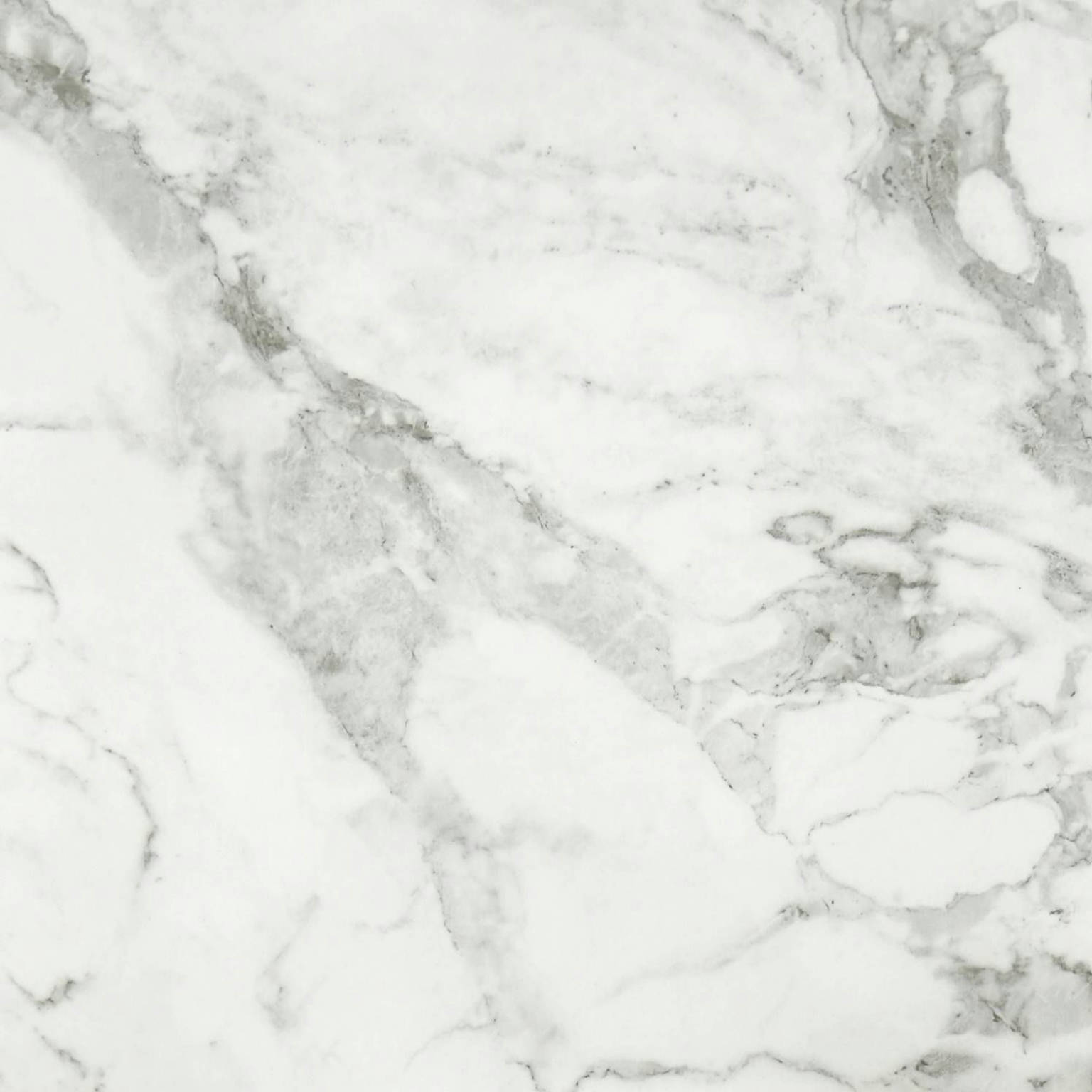 Arabescato Verona Honed 24X24