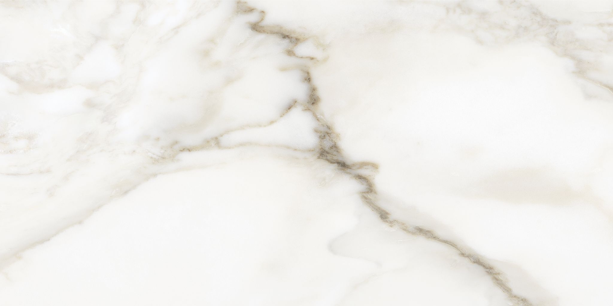 Florence 12X24F Calacatta Matte