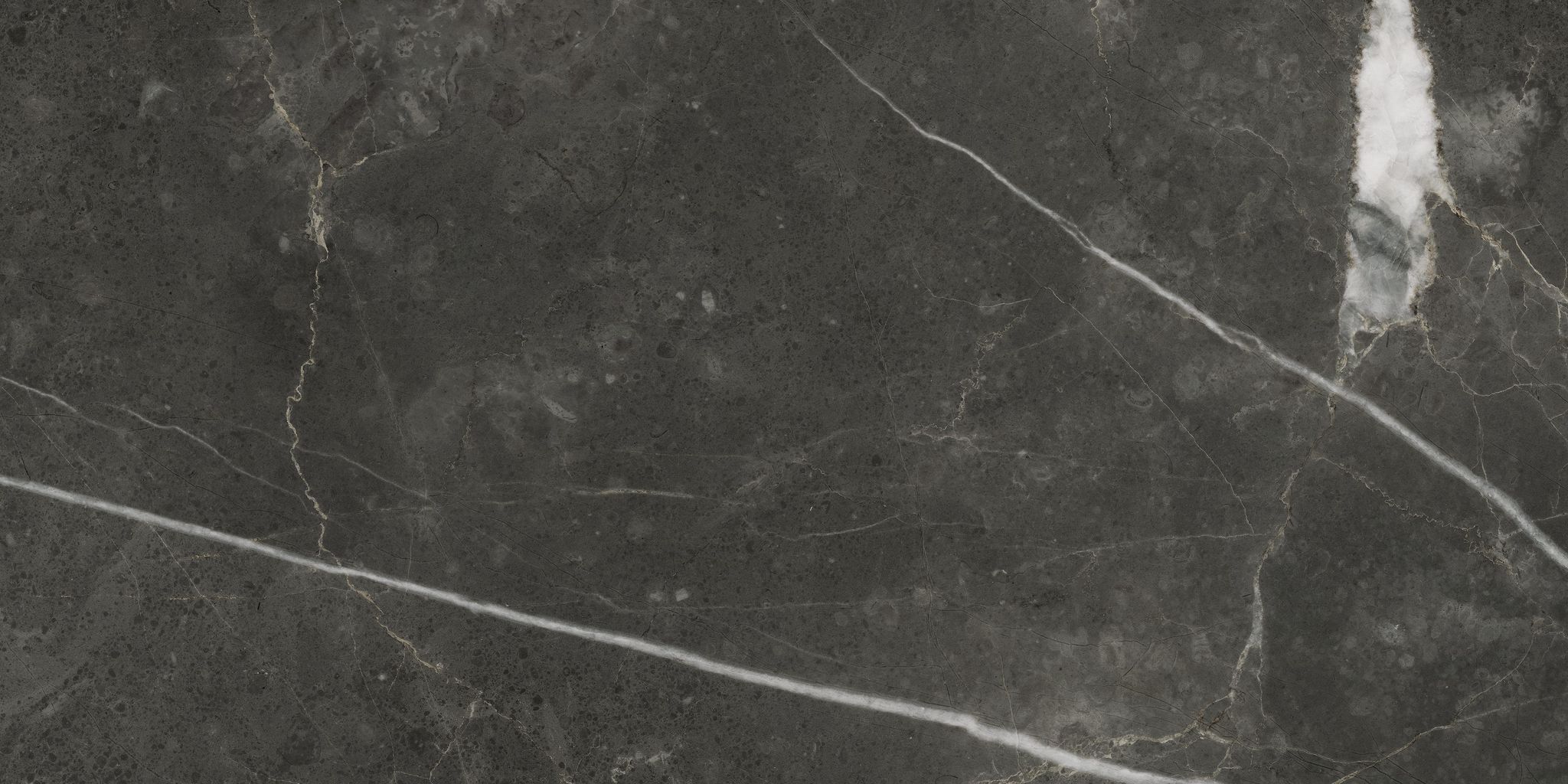 Florence 12X24F Carbon Texture
