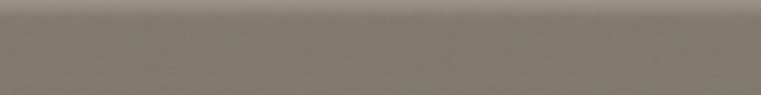 Matte Stockholm 3X24 Bullnose