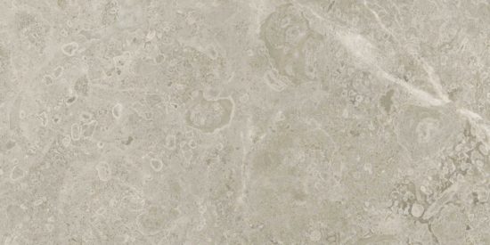 Ritz Gray 12×24