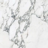 Royal Stoneworks 24X24 Italian Arabescato Honed | Marino Tile NY