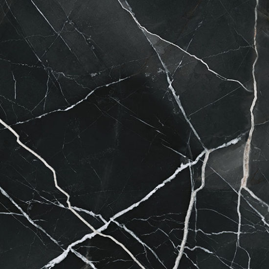 Royal Stoneworks 24X24 Regal Black Vein Vintage | Marino Tile NY