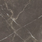 Royal Stoneworks 24X24 Regal Brown Marble Honed | Marino Tile NY