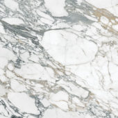 Royal Stoneworks 48X48 Italian Arabescato Polished | Marino Tile NY