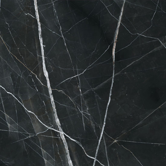 Royal Stoneworks 48X48 Regal Black Vein Polished | Marino Tile NY