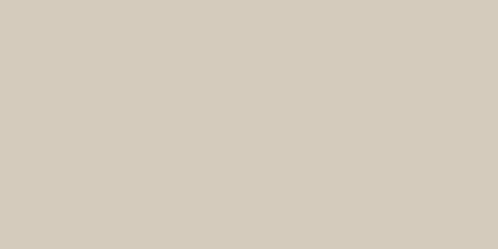 Monoforma 24x48 Oasis Polished