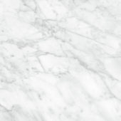 Plata 24x24 Carrara Abisso Matte | Marino Tile NY