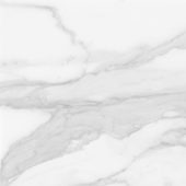 Plata 24x24 Statuario Brina Matte | Marino Tile NY