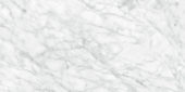 Plata 24x48 Carrara Abisso Polished | Marino Tile NY